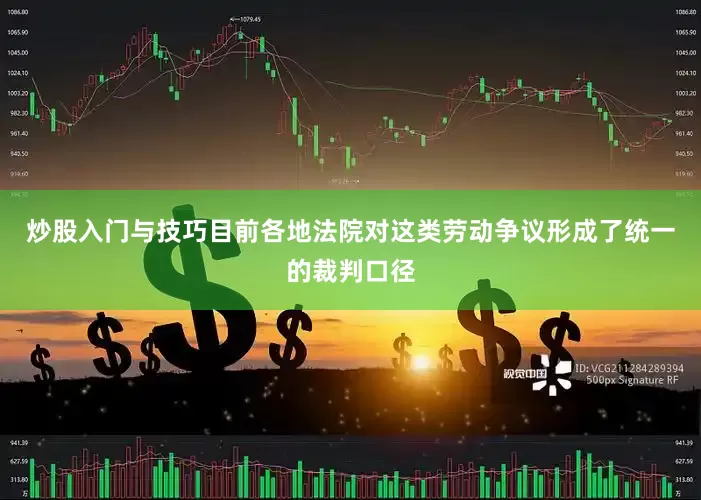 炒股入门与技巧目前各地法院对这类劳动争议形成了统一的裁判口径
