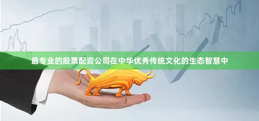 最专业的股票配资公司在中华优秀传统文化的生态智慧中